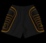 PRE ORDER - Samurai Armor 2026 - Jiu Jitsu Shorts